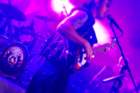 imm_the_bands027_small.jpg