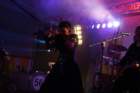 imm_the_bands033_small.jpg
