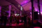 imm_the_bands052_small.jpg