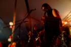 imm_the_bands060_small.jpg