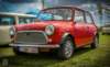 imm_by_cloe003_small.jpg