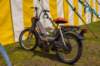 imm_by_luc057_small.jpg