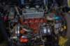 imm_by_luc095_small.jpg