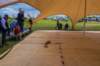 imm_by_luc097_small.jpg