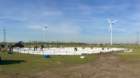 imm_by_ronald030_small.jpg