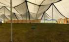imm_by_ronald036_small.jpg