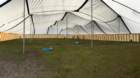 imm_by_ronald038_small.jpg