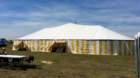 imm_by_ronald045_small.jpg