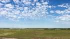imm_by_ronald061_small.jpg