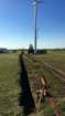 imm_by_ronald076_small.jpg