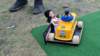 imm_by_anny077_small.jpg